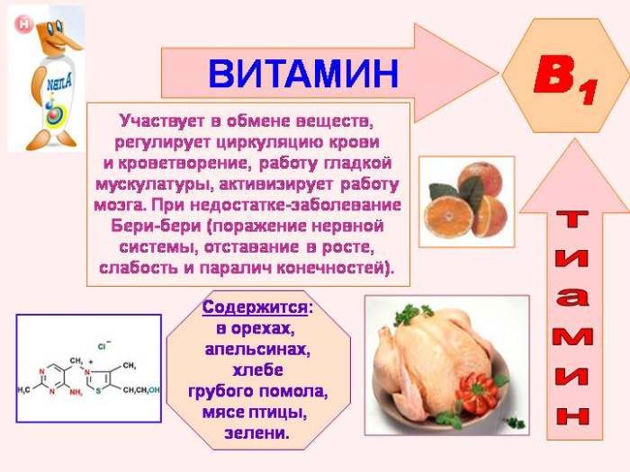 خصائص فيتامين B1